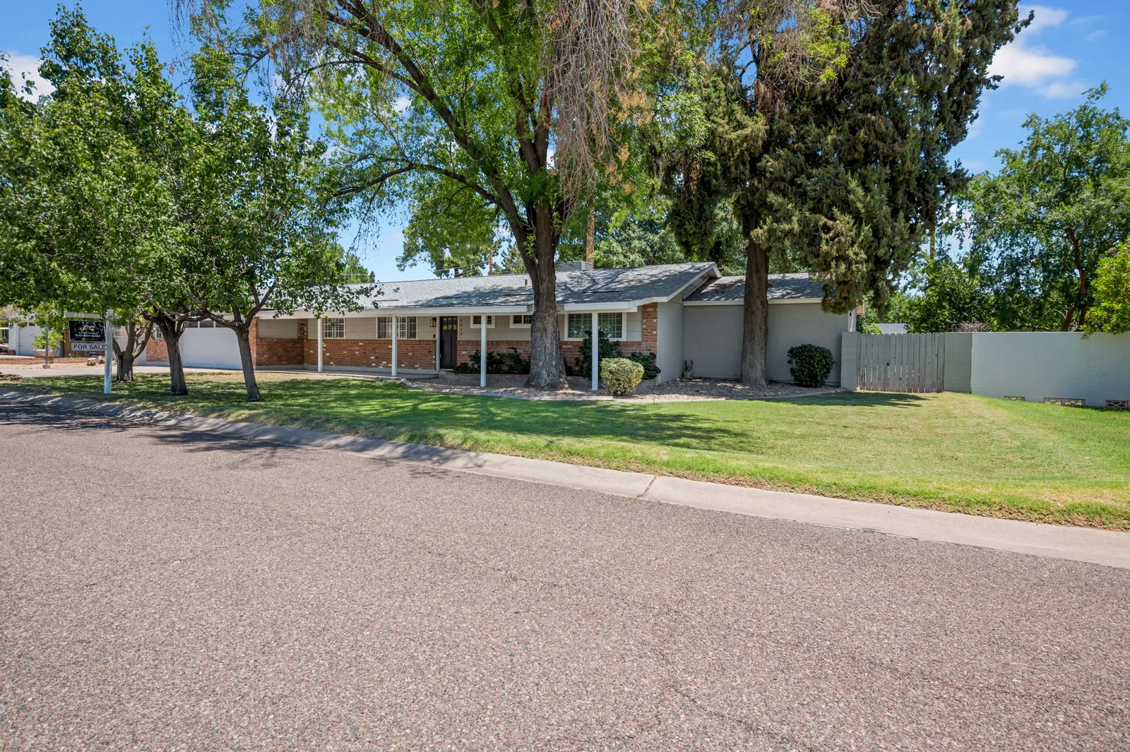 Looking down the block at ranch homes under a canopy of old trees.